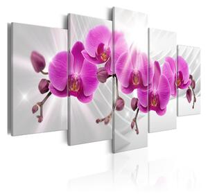 Tavla Abstract Garden Pink Orchids 200x100 - Artgeist sp. z o. o