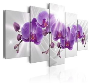 Tavla Abstract Garden Purple Orchis 100x50 - Artgeist sp. z o. o