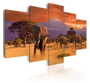 Tavla Africa Elephants 100x50 - Artgeist sp. z o. o