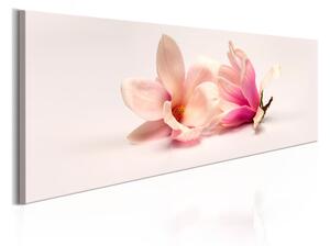 Tavla Beautiful Magnolias 150x50 - Artgeist sp. z o. o