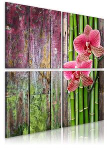 Tavla Bambu och orkidé 60x60 - Artgeist sp. z o. o