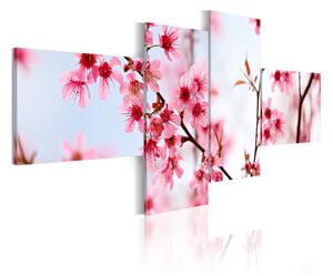Tavla Beauty Of The Cherry Flowers 100x45 - Artgeist sp. z o. o