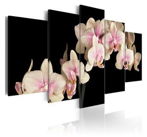 TAVLA An Orchid On A Contrasting Background 200x100 - Artgeist sp. z o. o