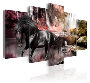 Tavla Black Horse On Crimson Sky Background 100x50 - Artgeist sp. z o. o