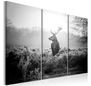 Tavla Black And White Deer 120x80 - Artgeist sp. z o. o