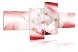 Tavla An Orchid In Pink Shade 200x90 - Artgeist sp. z o. o