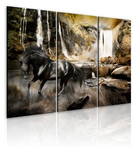 Tavla Black Horse And Rocky Waterfall 60x40 - Artgeist sp. z o. o