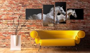Tavla Animal World- White Horses Galloping 100x45 - Artgeist sp. z o. o