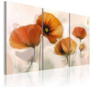 Tavla Artistic Poppies Triptych 120x80 - Artgeist sp. z o. o