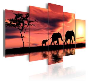 Tavla African Elephants Family 100X50 Orange - Artgeist sp. z o. o