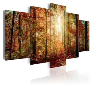 Tavla Autumn Wilderness 100x50 - Artgeist sp. z o. o