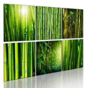Tavla Bamboo Has Many Faces 120x80 - Artgeist sp. z o. o