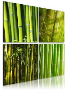 Tavla Bambu 90x90 - Artgeist sp. z o. o