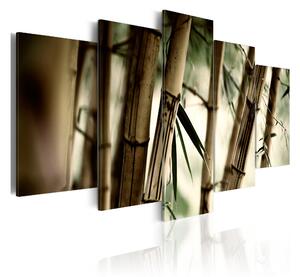Tavla Asian Bamboo Forest 200x100 - Artgeist sp. z o. o