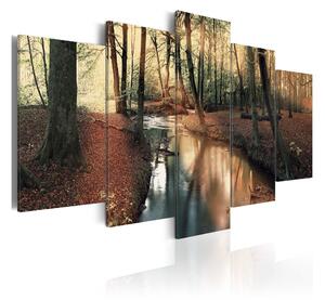 Tavla Brown Autumn Forest 100x50 - Artgeist sp. z o. o