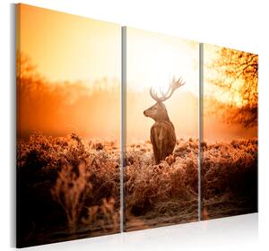 Tavla Deer In The Sun 120x80 - Artgeist sp. z o. o