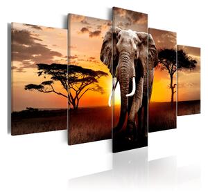 Tavla Elephant Migration 100x50 - Artgeist sp. z o. o