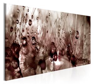 Tavla Dandelions After Rain 150x50 - Artgeist sp. z o. o