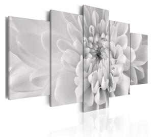 Tavla Dahlia Flower In Grey Shades 100x50 - Artgeist sp. z o. o
