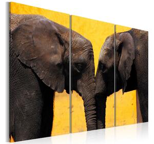Tavla Elephant kiss 90x60 - Artgeist sp. z o. o