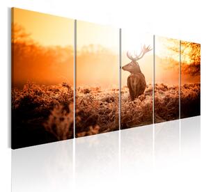 Tavla Deer At Sunset 200x80 - Artgeist sp. z o. o