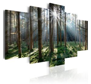 Tavla Fairytale Forest 100x50 - Artgeist sp. z o. o