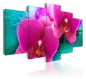 Tavla Exotic Orchids 100x50 - Artgeist sp. z o. o