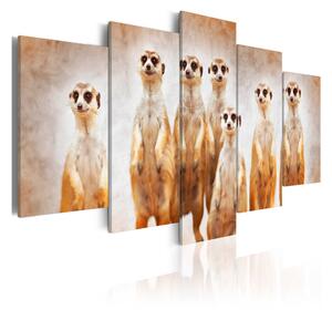 Tavla Family Of Meerkats 100x50 - Artgeist sp. z o. o