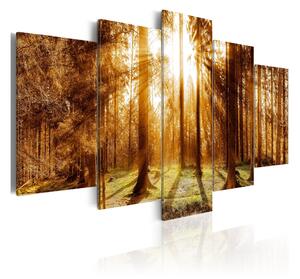 Tavla Forest Illumination 100x50 - Artgeist sp. z o. o