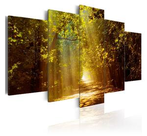 Tavla Forest In The Sunlight 100x50 - Artgeist sp. z o. o