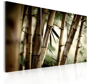 Tavla In A Tropical Forest 120x80 - Artgeist sp. z o. o