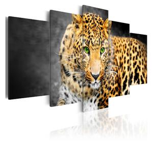 Tavla Green-Eyed Leopard 100x50 - Artgeist sp. z o. o