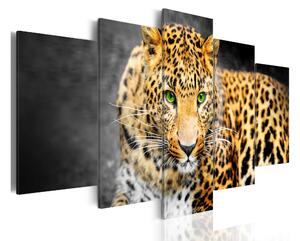 Tavla Green-Eyed Leopard 200x100 - Artgeist sp. z o. o