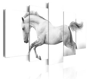 Tavla Horse- Passion And Freedom 100x50 - Artgeist sp. z o. o