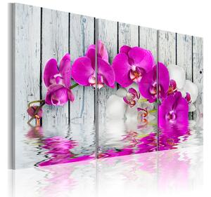 Tavla harmony: orchid Triptych 90x60 - Artgeist sp. z o. o