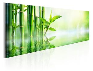 Tavla Green Bamboo 150x50 - Artgeist sp. z o. o