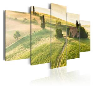 Tavla Green Tuscany 100x50 - Artgeist sp. z o. o