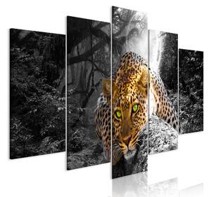 Tavla Leopard Lying 5 Parts Wide Grey 100x50 - Artgeist sp. z o. o
