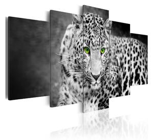 Tavla Leopard Black&White 100x50 - Artgeist sp. z o. o