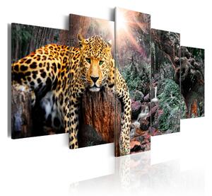 Tavla Leopard Relaxation 100x50 - Artgeist sp. z o. o