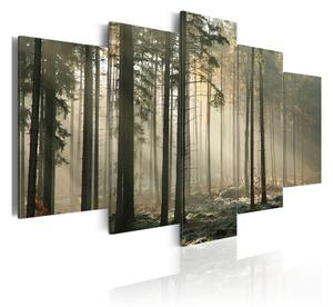 Tavla Light In A Dark Forest 100x50 - Artgeist sp. z o. o