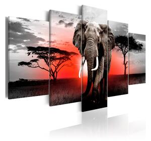 Tavla Lonely Elephant 100x50 - Artgeist sp. z o. o