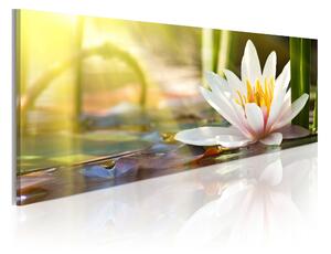 Tavla Lotus' Glow 150x50 - Artgeist sp. z o. o