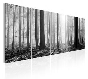 Tavla Monochrome Forest 200x80 - Artgeist sp. z o. o