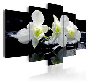 Tavla Melancholic Orchids 200x100 - Artgeist sp. z o. o