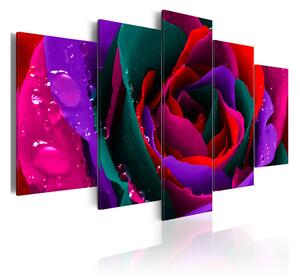 Tavla Multicoloured Rose 100x50 - Artgeist sp. z o. o