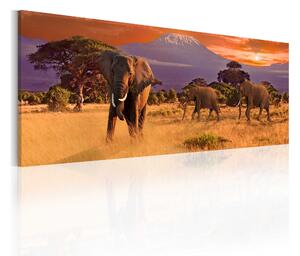 Tavla March Of African Elephants 120x40 - Artgeist sp. z o. o
