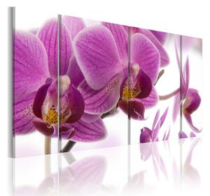 Tavla Marvelous Orchid 60x30 - Artgeist sp. z o. o