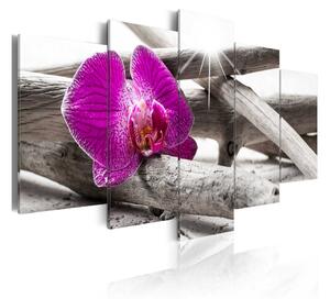 Tavla Orchid On Beach 100x50 - Artgeist sp. z o. o