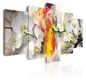 Tavla Orchid And Colors 100x50 - Artgeist sp. z o. o